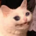 crycat