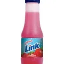 erensidengizlilink