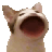 Chat2