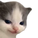 emoji_18