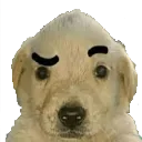 emoji_19