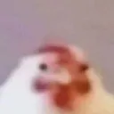 __