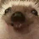 emoji_18