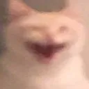 emoji_19