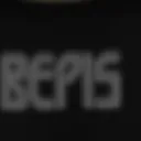 penis