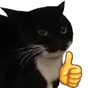 emoji_26