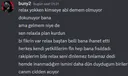 EkranGrnts3615