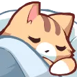 neko6