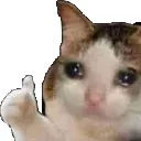 emoji_5