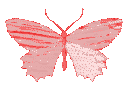 ButterflyaRed