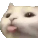 siktir