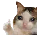 sed_lyfremovebgpreview