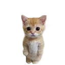 emoji_30