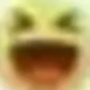 xd