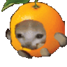 lewxykosuyor2