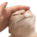 sevbeni