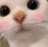 utandim