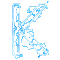 kadin