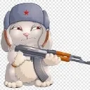 sorgu