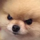 emoji_22