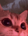 cathearteyesyoonmilkers1