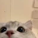 emoji_116