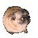 twerkdog