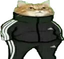 napim