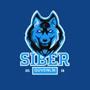 siberguvenlik