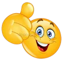 aynen