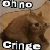 ohnocringe