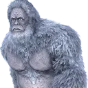 yeti
