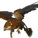 Griffin