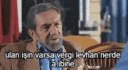 sabriabi