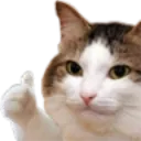 okkedi