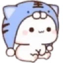 mochicat10