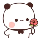mochicat9