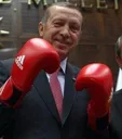 bokscureis