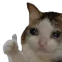 zgn