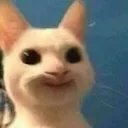 catsmile