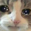 48fd8d4be8baa1d253321c8e521d13d7