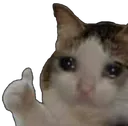 uzguncat