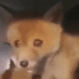 aaaaaa