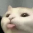 9pan_animals
