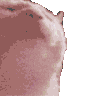 807680447718621244