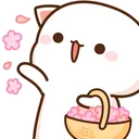 latte_cicekatanayi