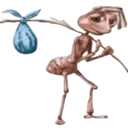 karnca