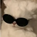 havalymyavru