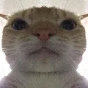 hhmmmm