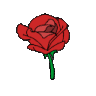 1942_rose
